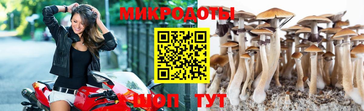 Нижний Новгород  Галлюциногенные грибы мицелий  Галлюциногенные грибы Psilocybe  Вход с VPN 
